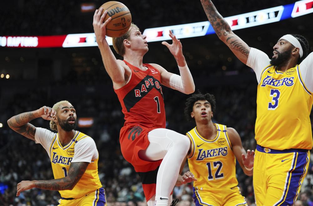 的防线保护 的防线保护